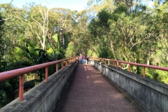 University of Newcastle, Bridge